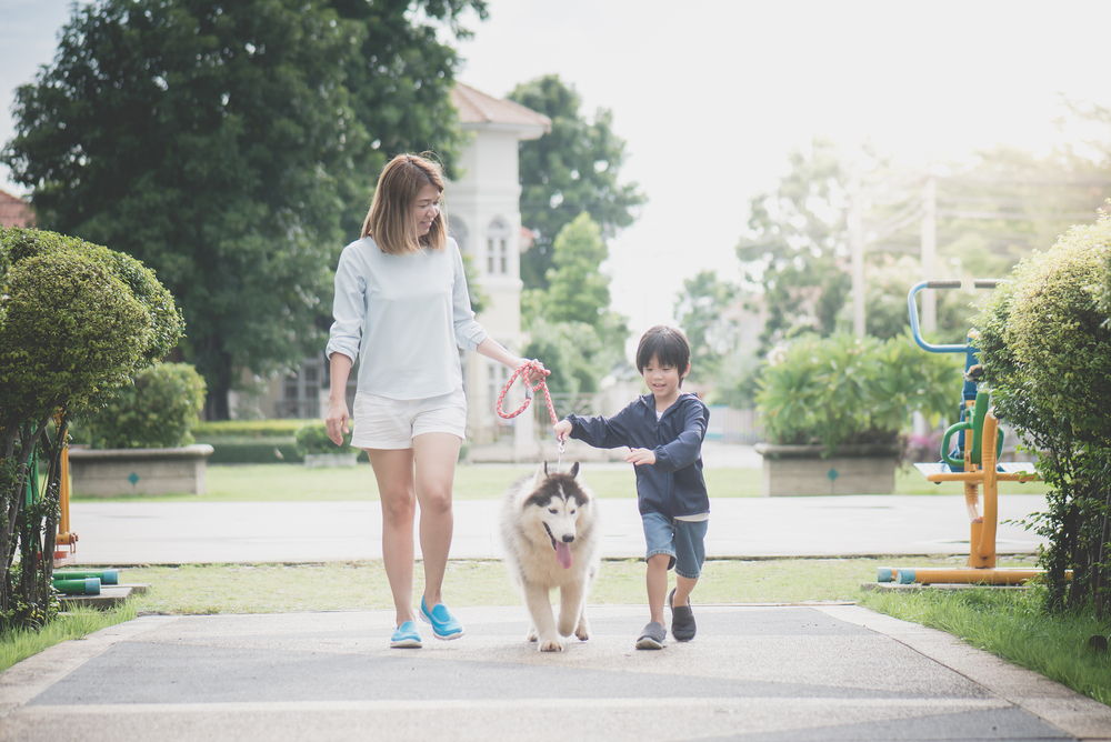 mother son walking siberian husky