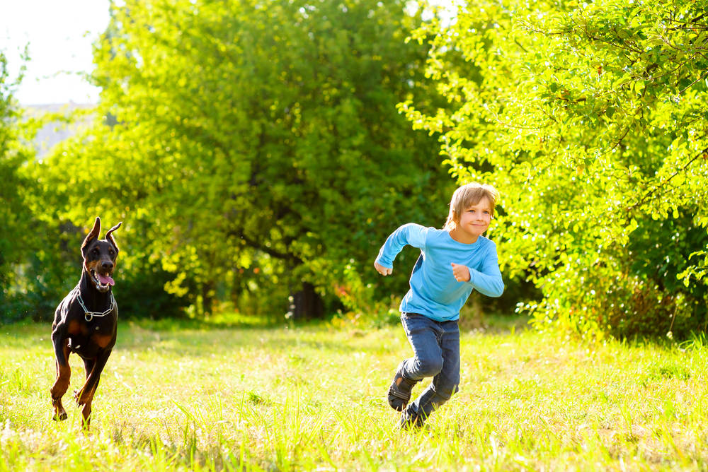 boy running away from dog or doberman