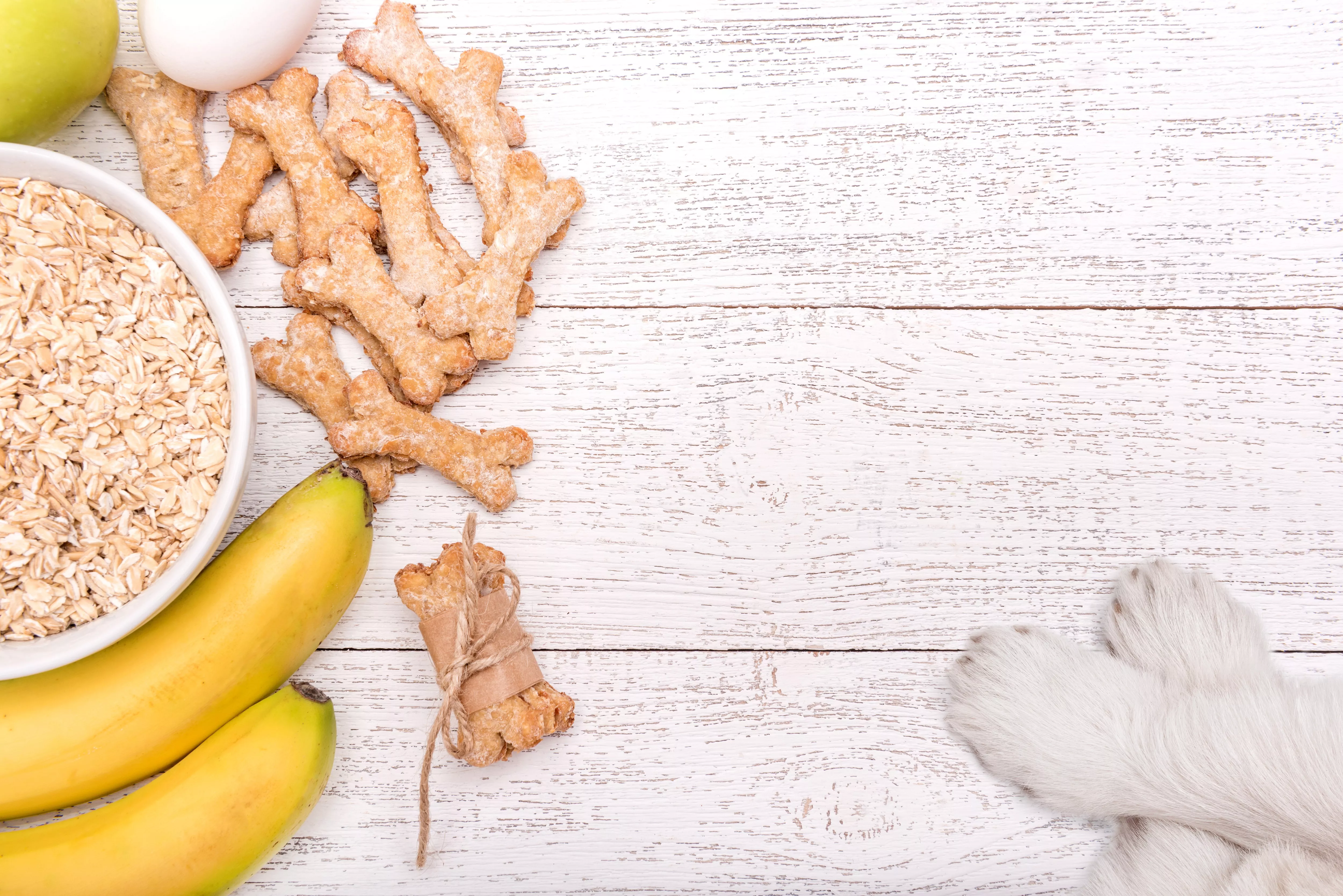 Oats, bananas, and oat dog treats on table next to white paws.