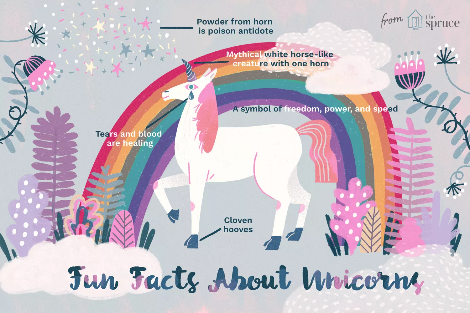 illustration of unicorn facts