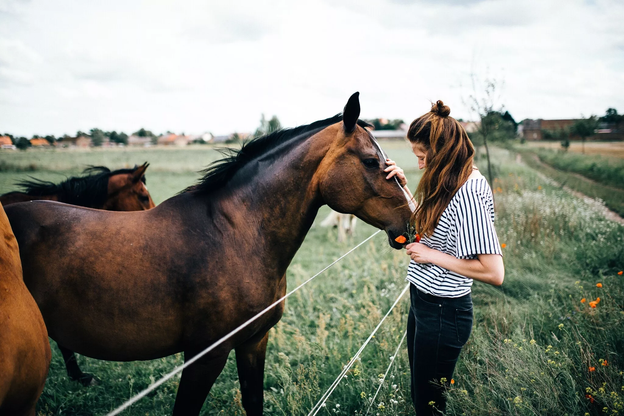 Girl petting horse