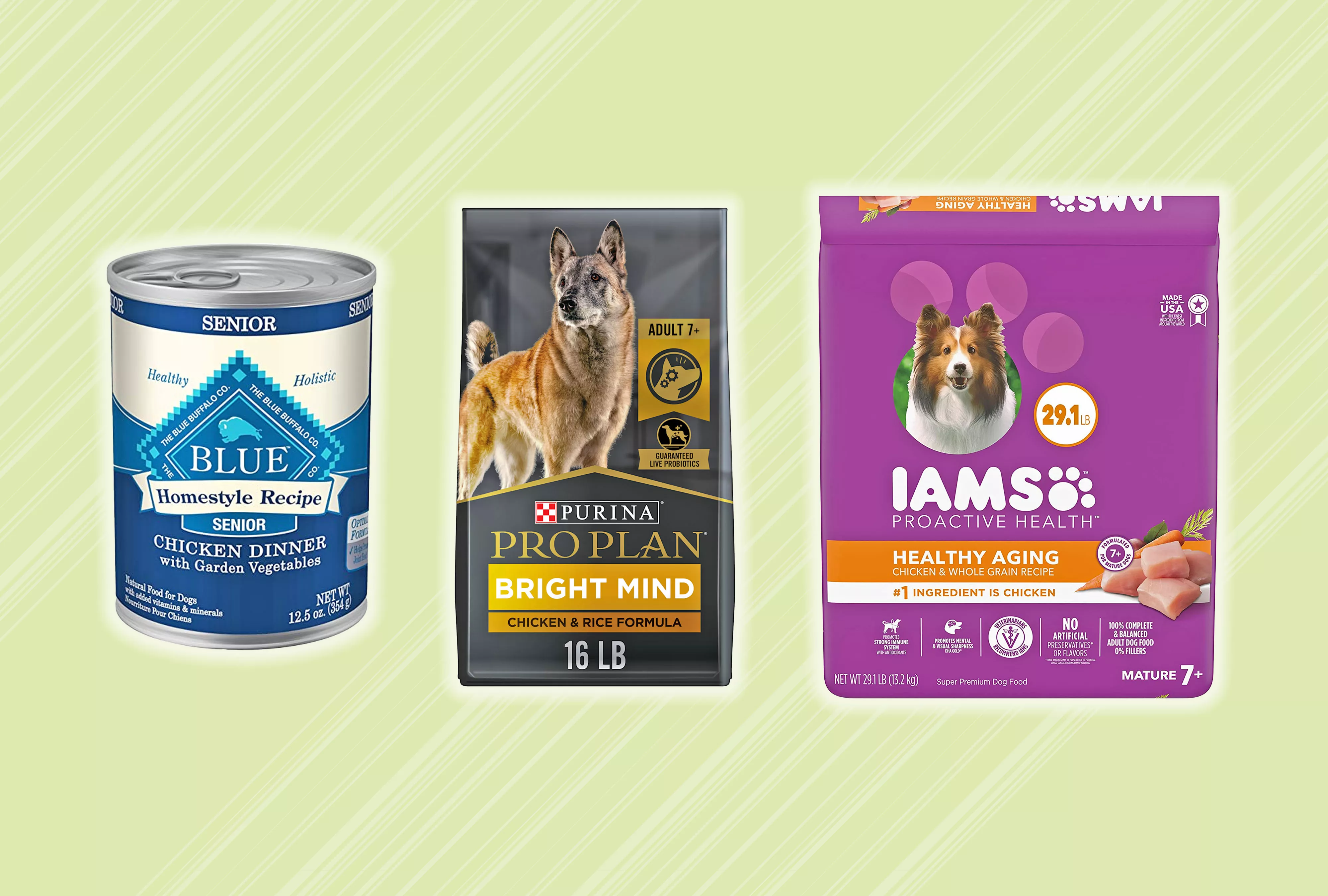 Assortment of the best dog food for older dogs we recommend on a green background