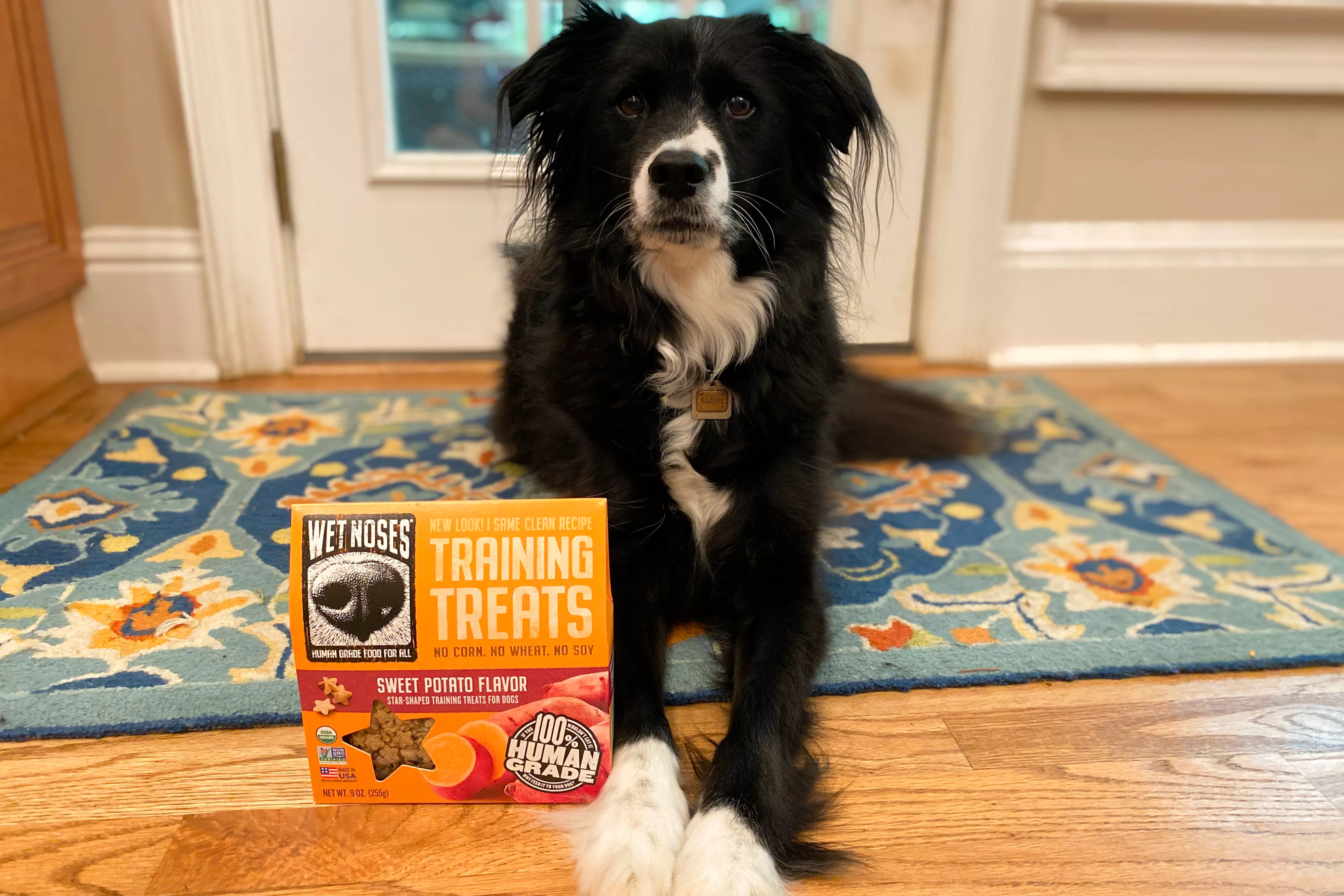 Wet Noses Little Stars Dog Treats