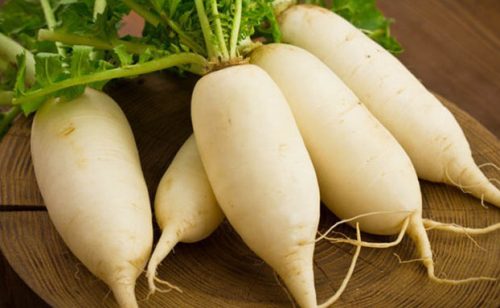 Albino Carrot