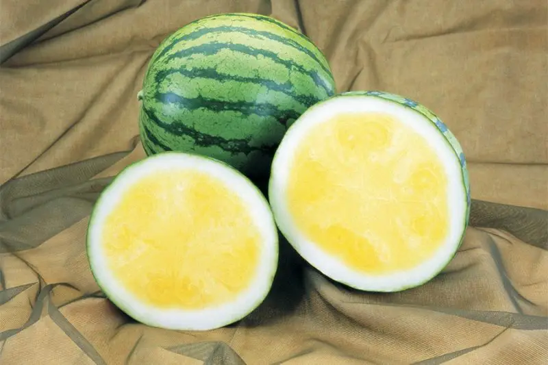 Types of Watermelon Plants