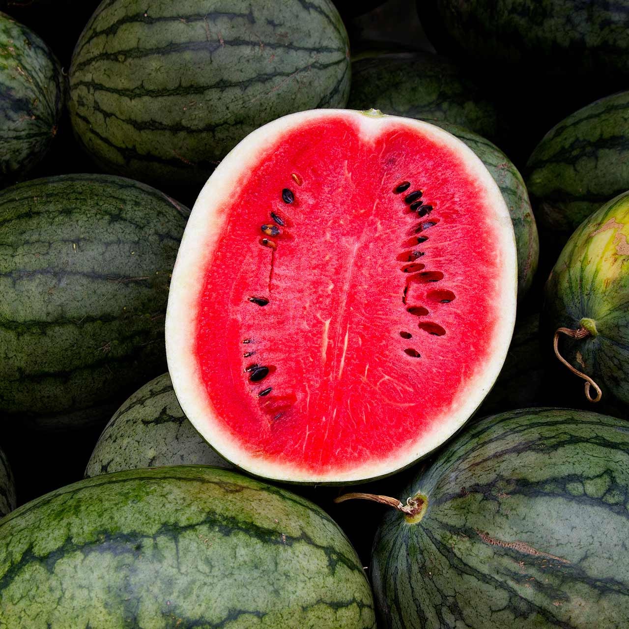 Types of Watermelon Plants