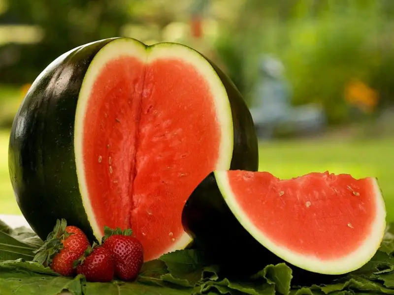 Types of Watermelon Plants