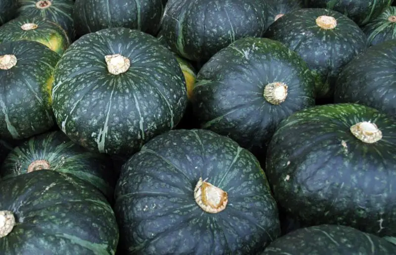 Green Pumpkins