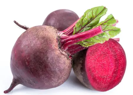 Common Garden Beets