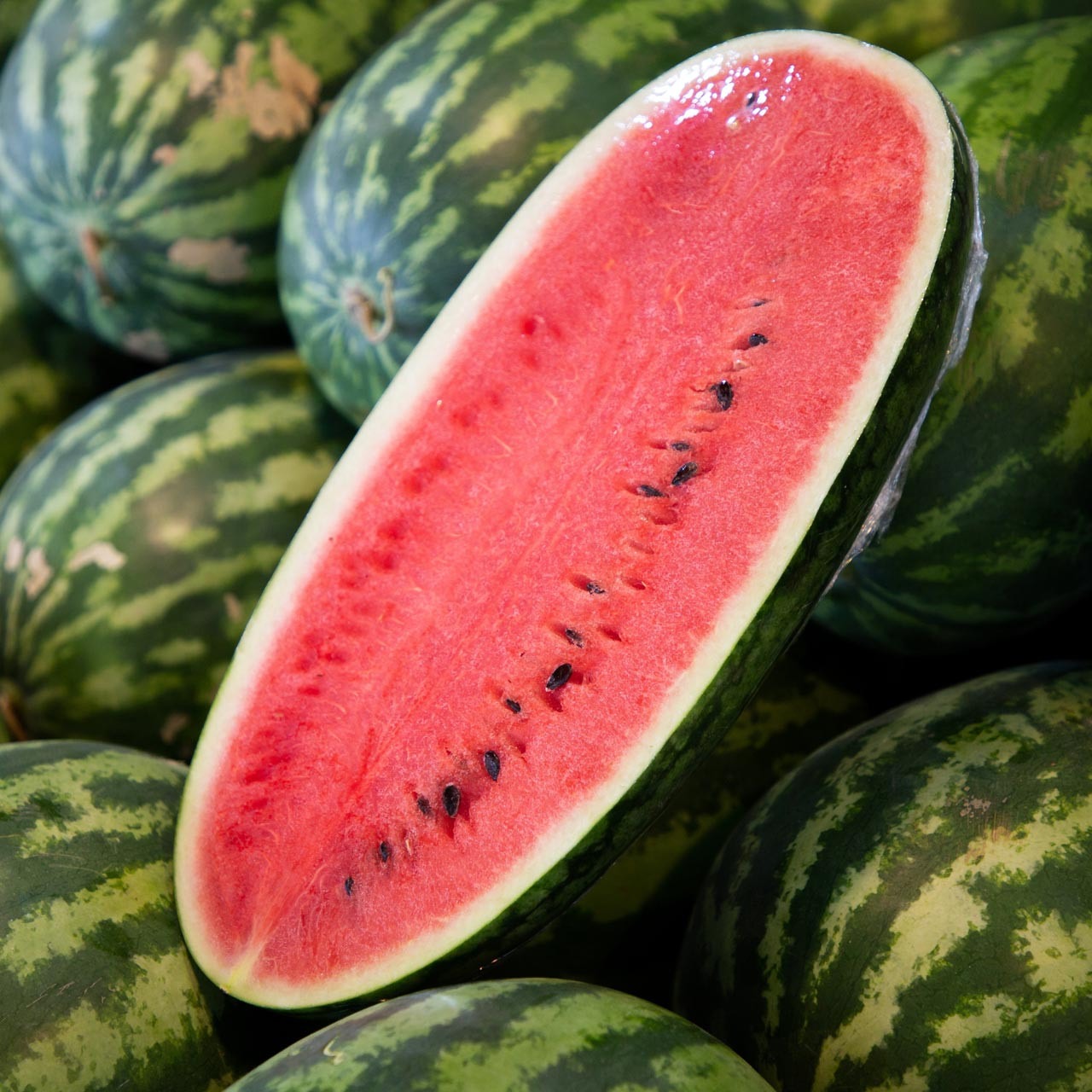 Types of Watermelon Plants