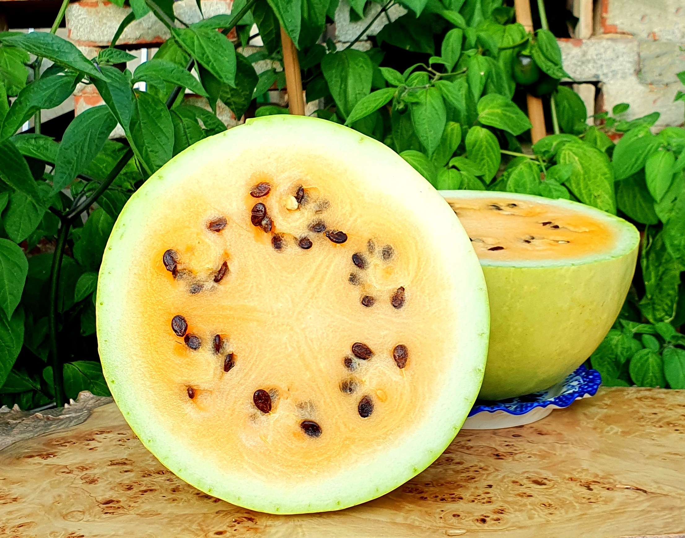 Types of Watermelon Plants