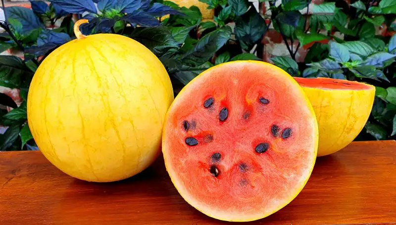 Types of Watermelon Plants