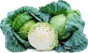 25 Types of Cabbages (With Pictures)