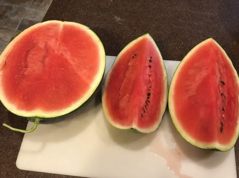 Types of Watermelon Plants