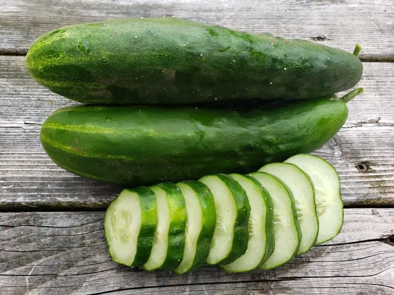 Types of Cucumber Plants