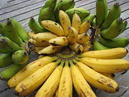 Types of Bananas