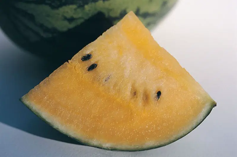 Types of Watermelon Plants