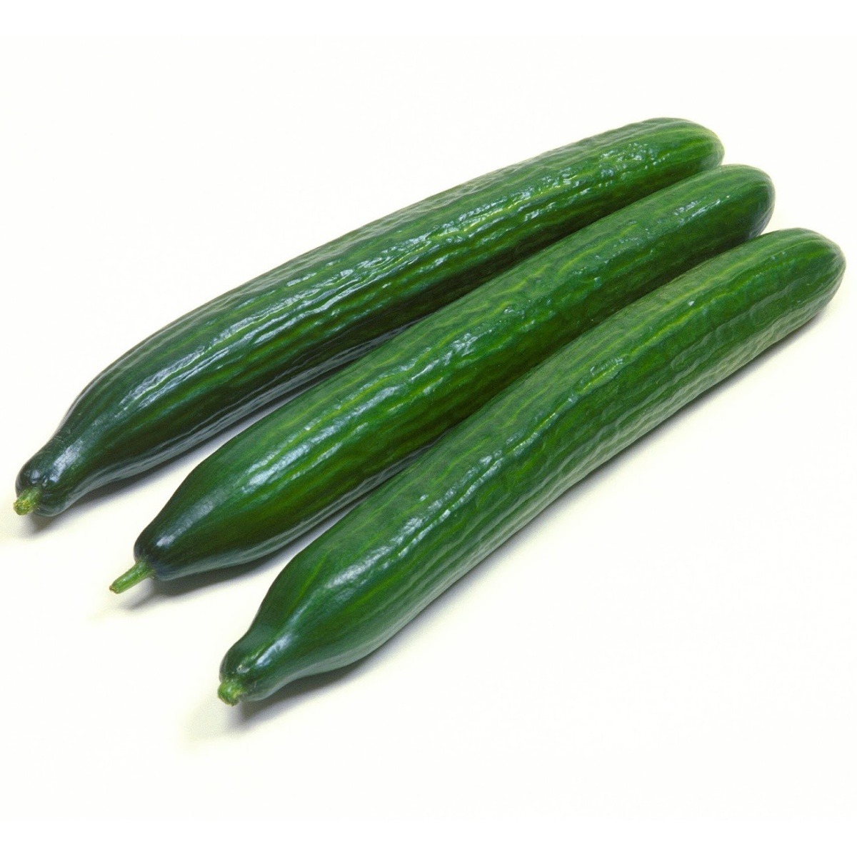 Types of Cucumber Plants