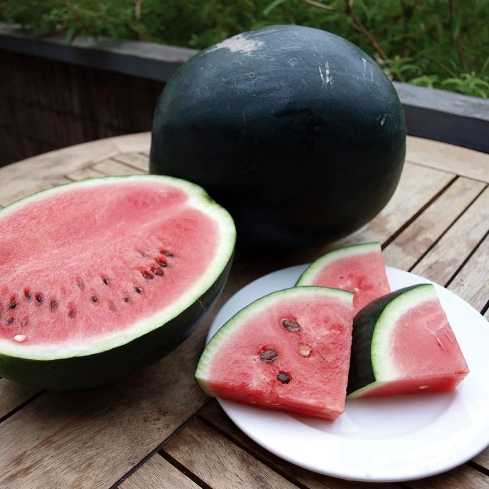 Types of Watermelon Plants
