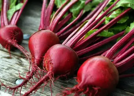 Red Ace Beets