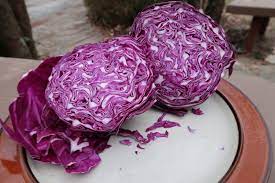 25 Types of Cabbages (With Pictures)
