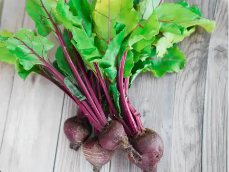 Ruby Queen Beets