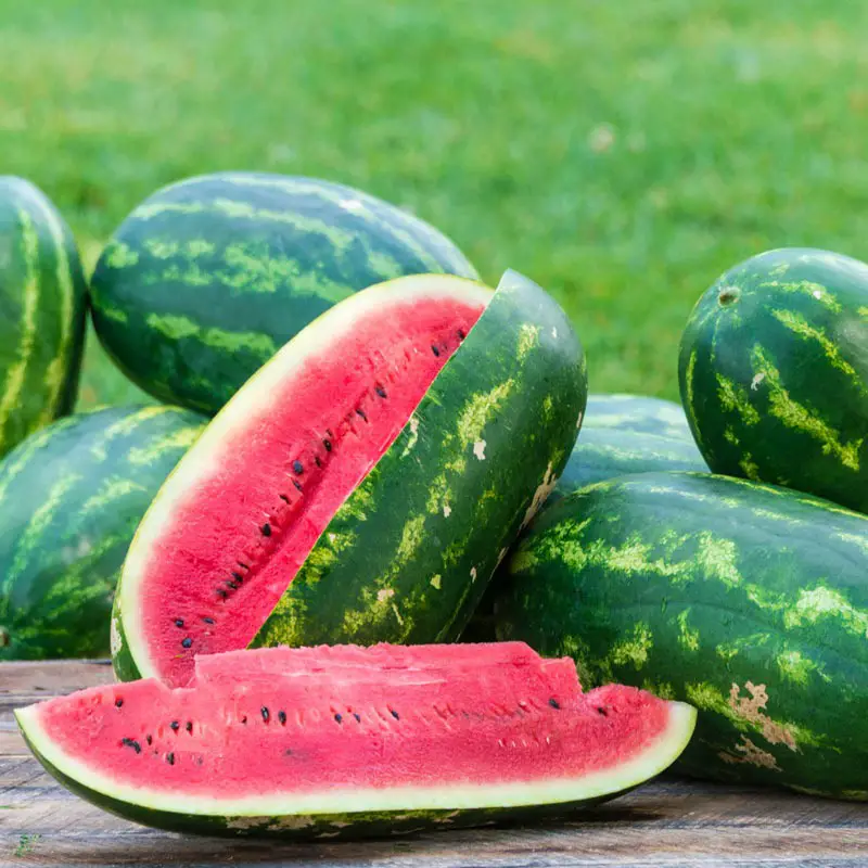 Types of Watermelon Plants