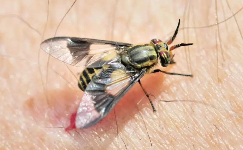 Dangerous Bugs in Michigan
