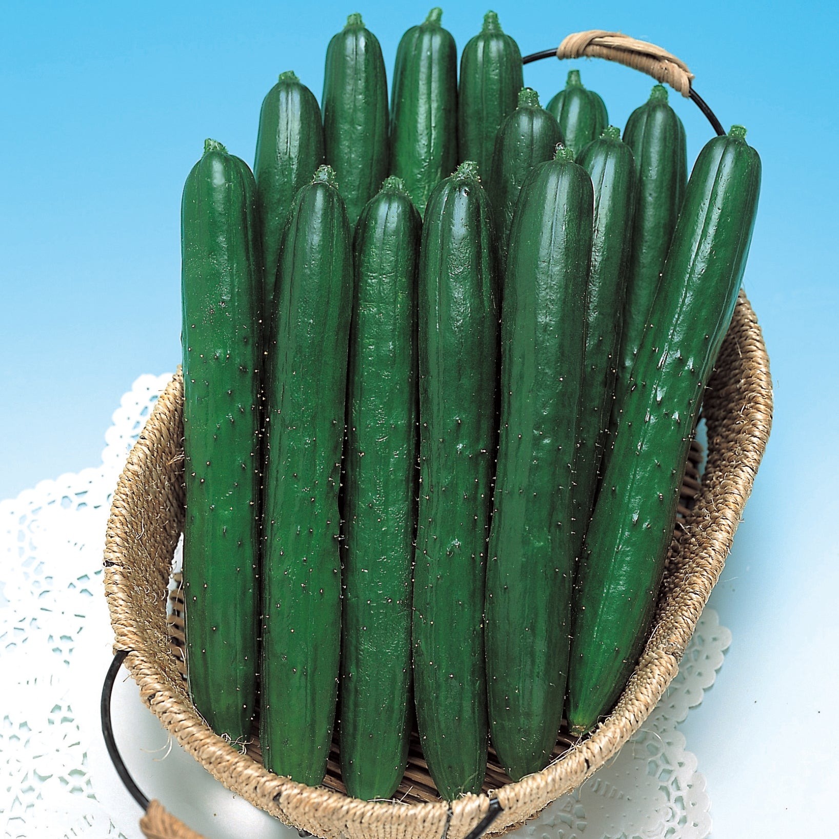 Types of Cucumber Plants