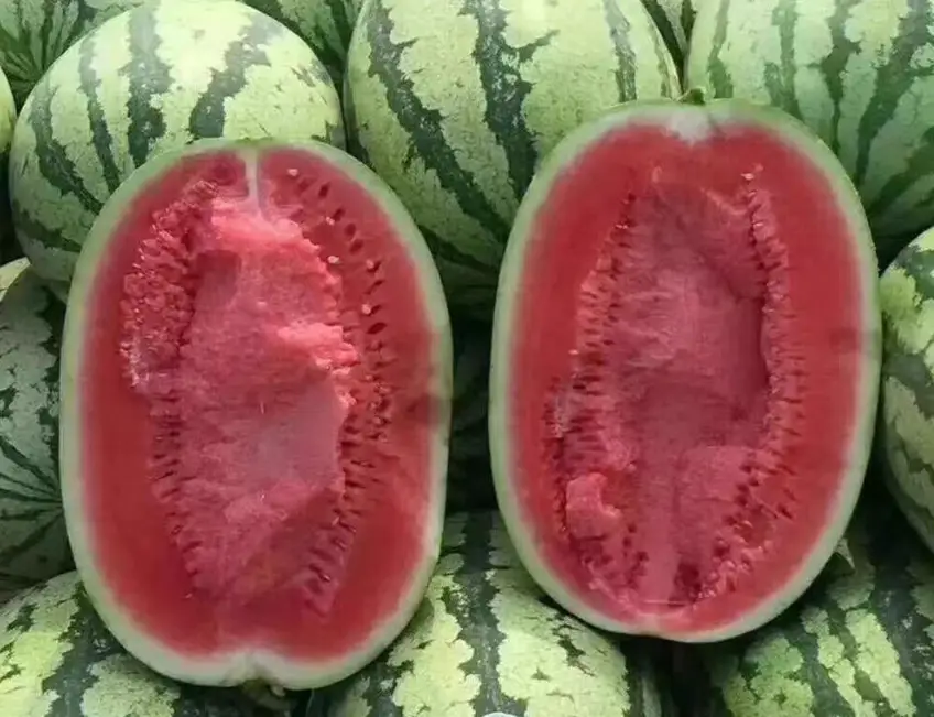 Types of Watermelon Plants