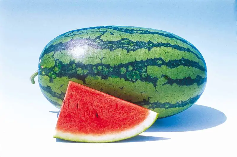 Types of Watermelon Plants