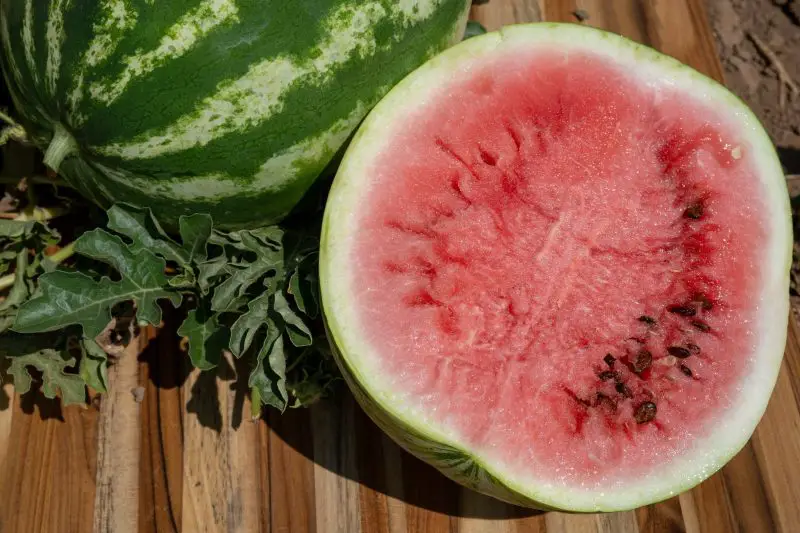 Types of Watermelon Plants
