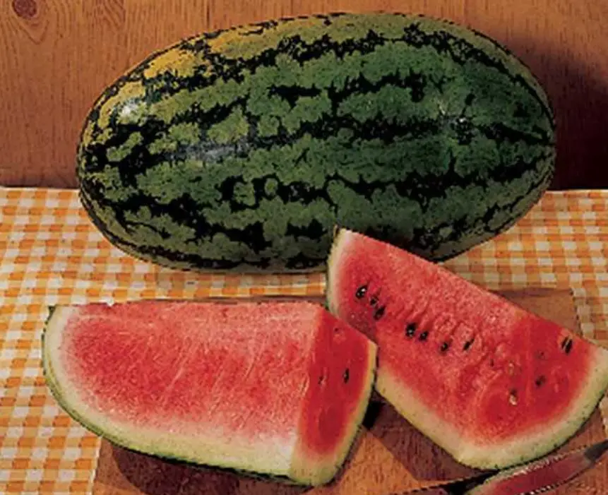 Types of Watermelon Plants