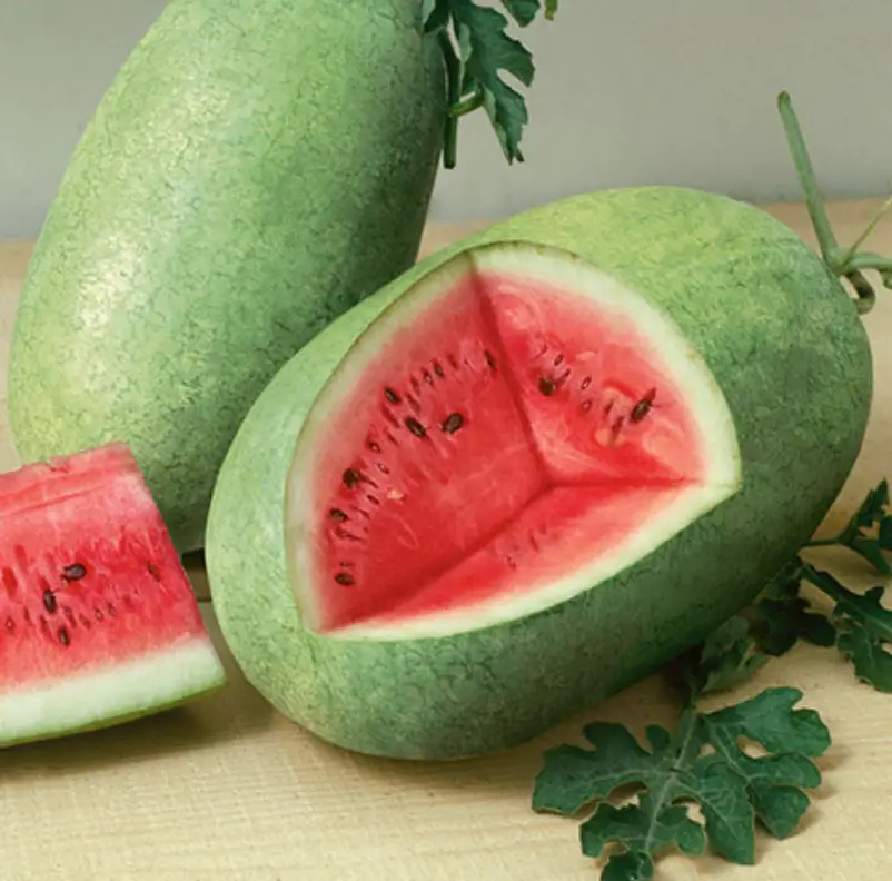 Types of Watermelon Plants