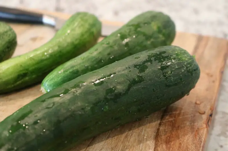 Types of Cucumber Plants