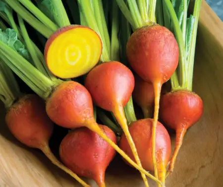 Touchstone Gold Beets
