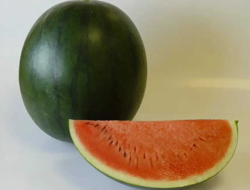 Types of Watermelon Plants