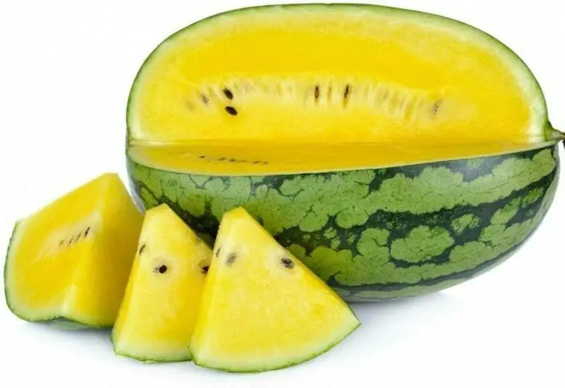 Types of Watermelon Plants