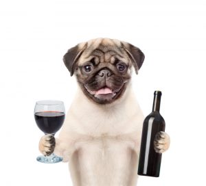 Dog holding a bottle of red wine and wineglass
