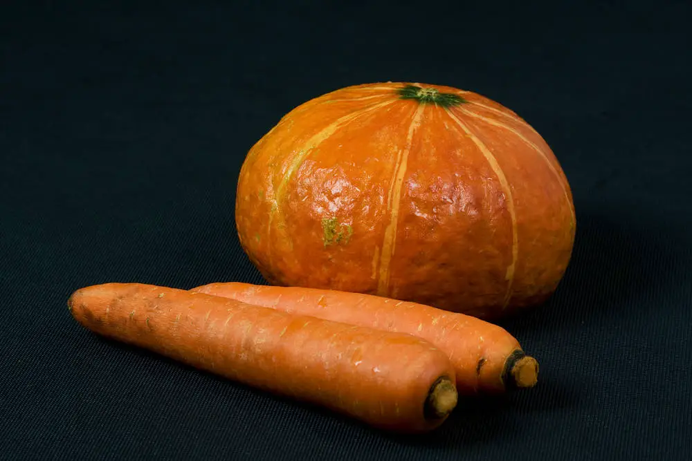 pumpkin and carrot