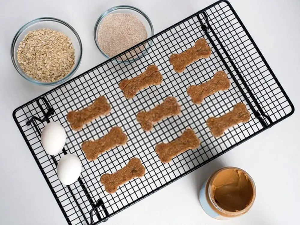 Peanut Butter Cookies for dog