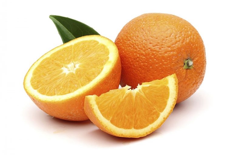 can box turtles eat oranges