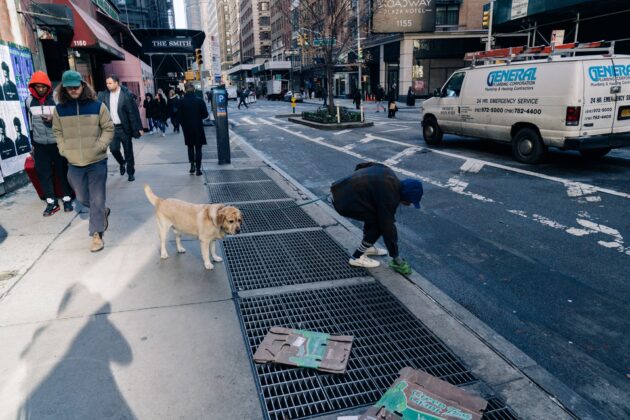 3 Unique Ways to Dispose of Dog Poop