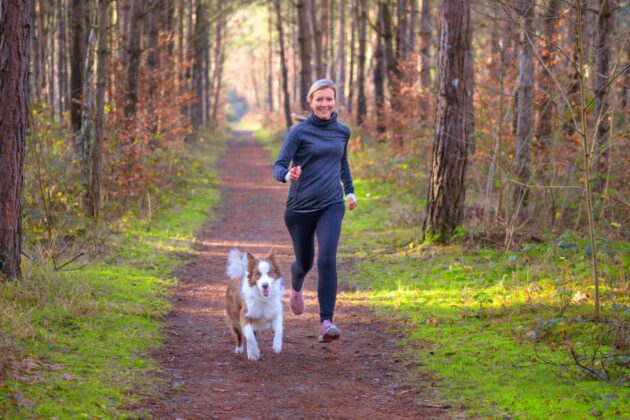 exercising a dog with elbow dysplasia