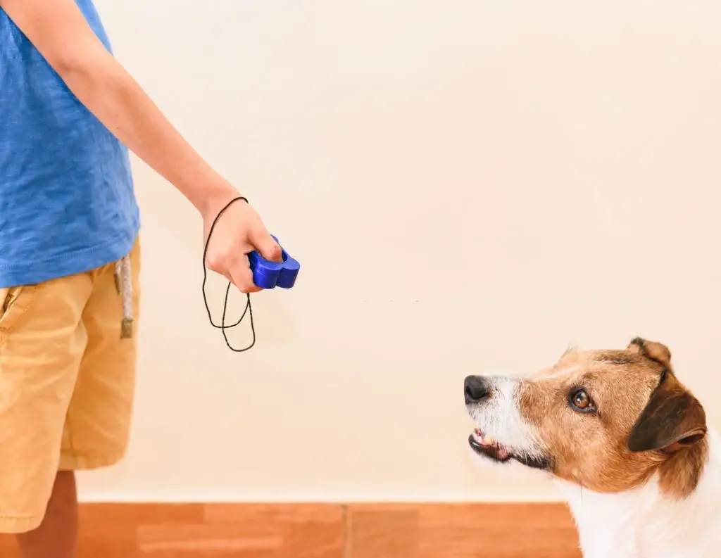 how do you use a clicker for dog training