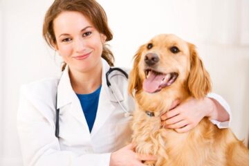 Veterinary Clinic and Animal Hospital in Abbotsford