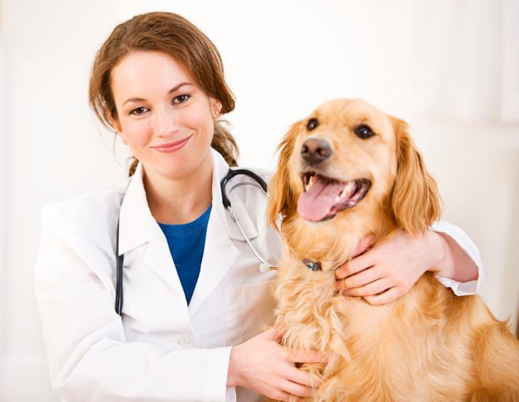 Veterinary Clinic and Animal Hospital in Abbotsford