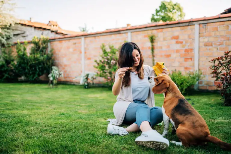 How To Choose The Right Food For Dogs With Allergies