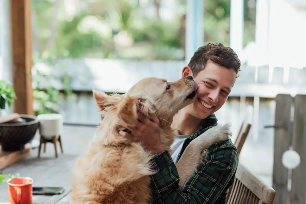 Most Pet-Friendly Colleges