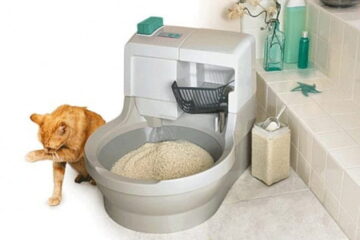 Can You Flush Cat Litter? Don’t Be Shocked To Know The Answer!